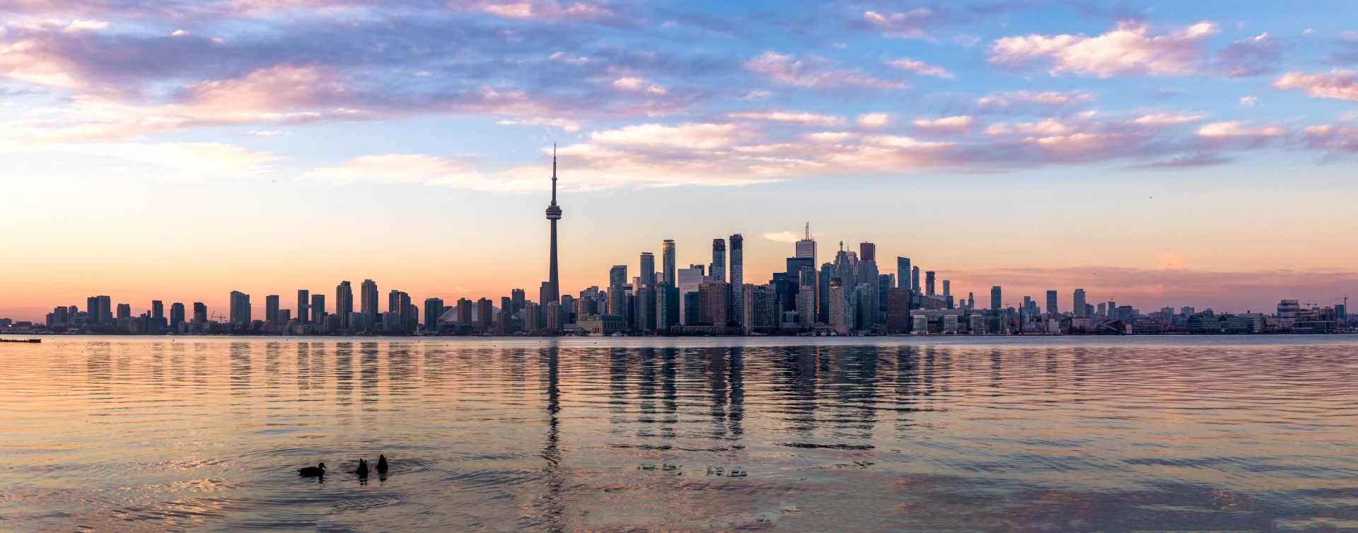 Toronto Pests