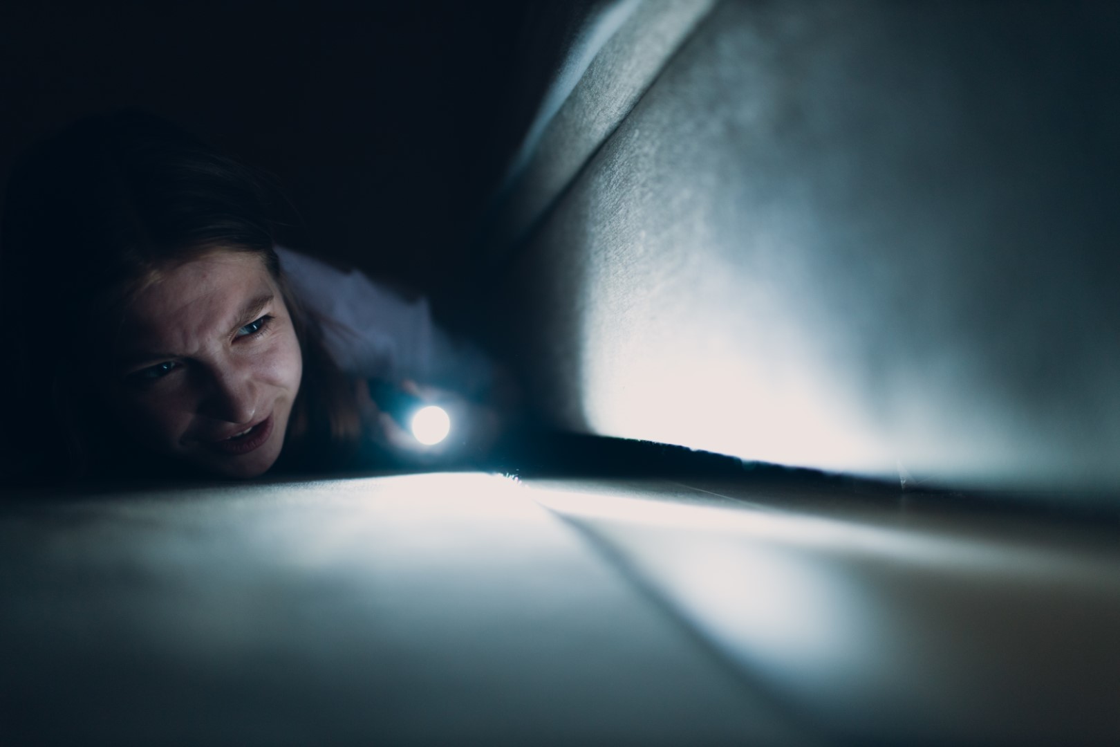 Toronto Deceased Animal Removal